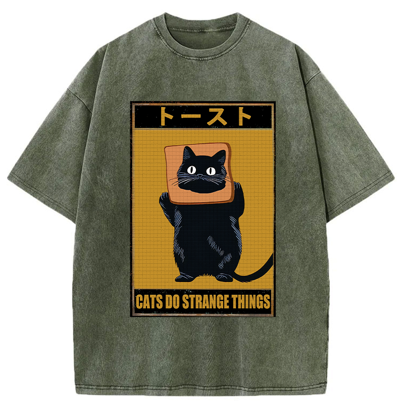 Japanese Black Cat Washed T-Shirt