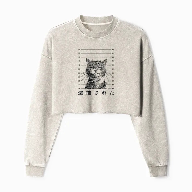 Kyoto-Lion Cat That Was Arrested Washed Crop Sweatshirt
