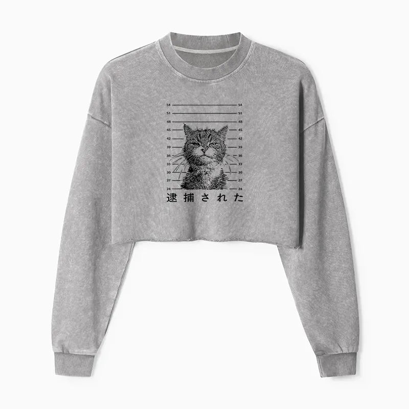 Washed Vintage Cat Sweatshirt with Free Shipping