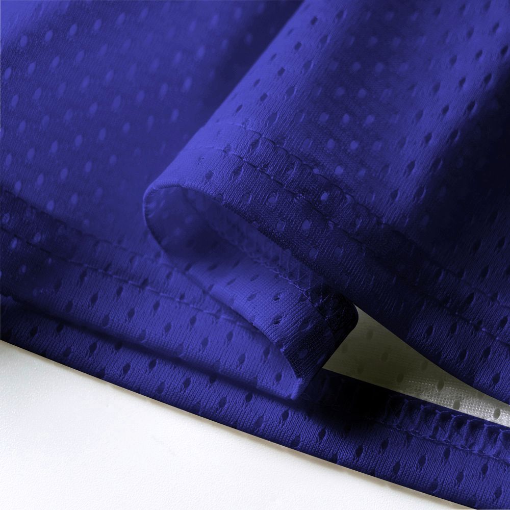Kyoto-Lion Rainbow Tiger Mesh Jersey