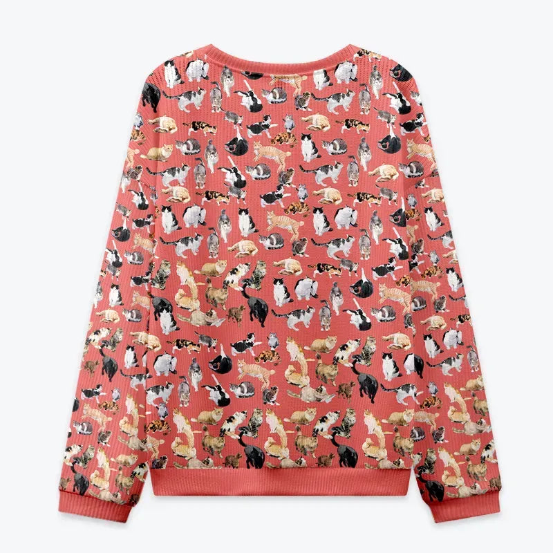 Kyoto lion cats sweatshirt limited edition