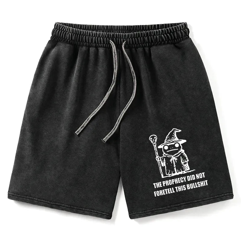 Kyoto-Lion Washed Shorts for Summer