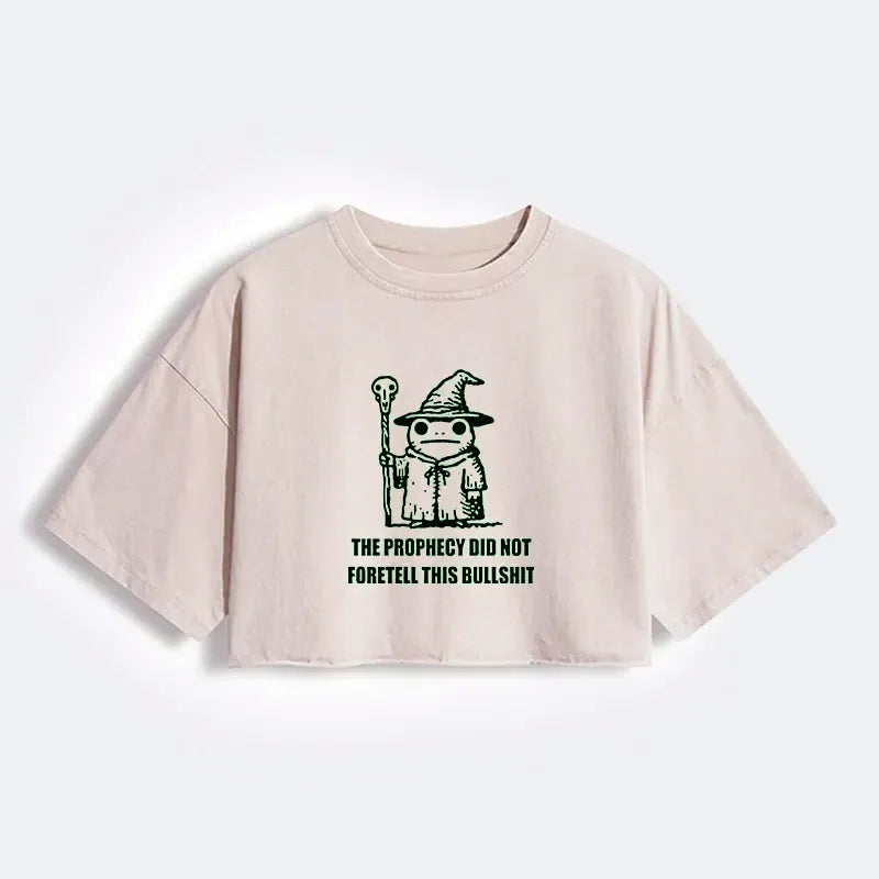 Kyoto-Lion Japanese Streetwear Crop Tee on Sale