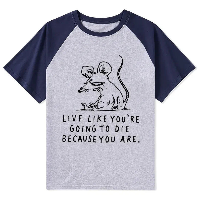 Japanese Kyoto Lion Raglan Tee on Sale