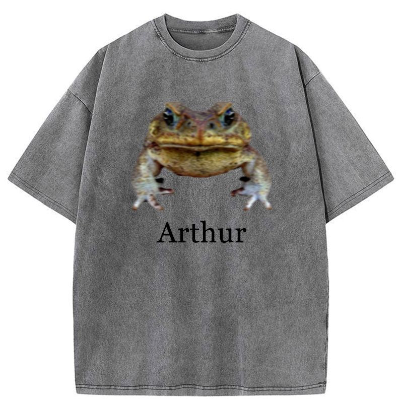 Kyoto-Lion This Is Arthur Washed T-Shirt