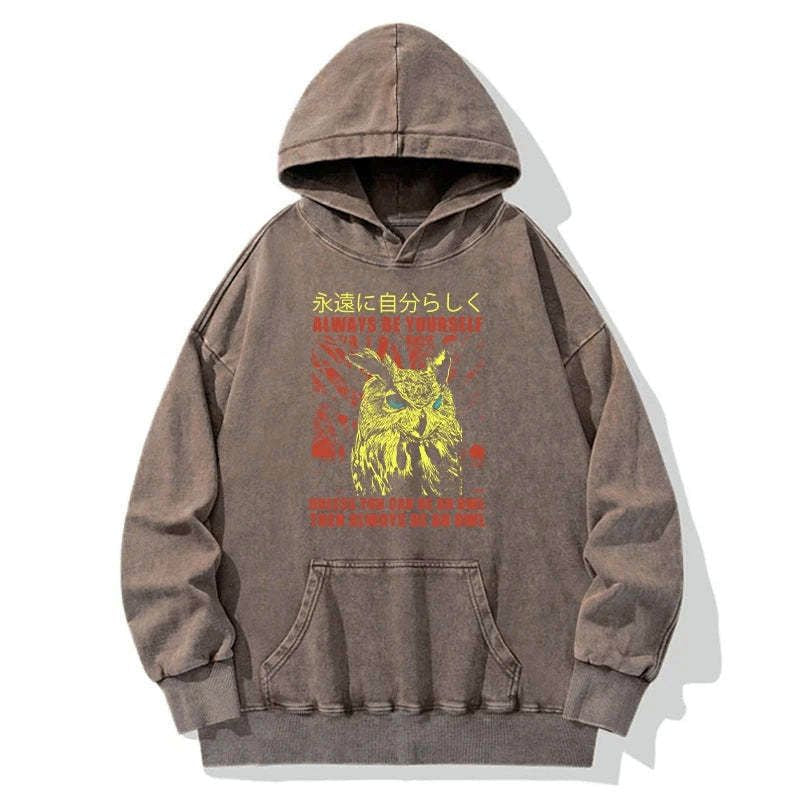vintage kyoto lion unisex hoodie