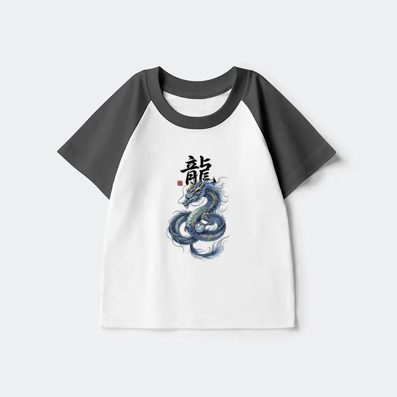 Kids Dragon Raglan T-shirt Gift Idea