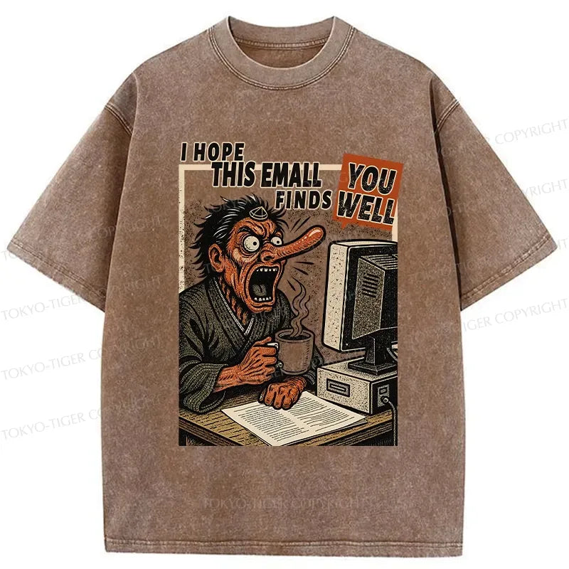 Kyoto-Lion I Hope This Email Finds You Well Washed T-Shirt
