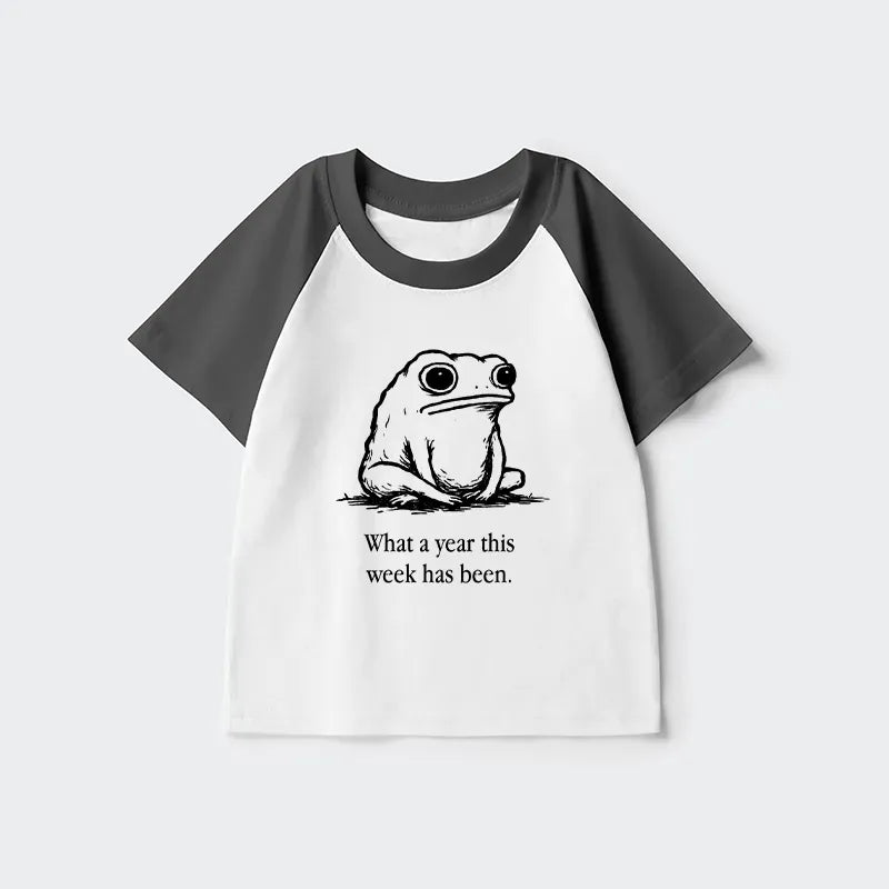 Kyoto-Lion kids raglan tee best seller