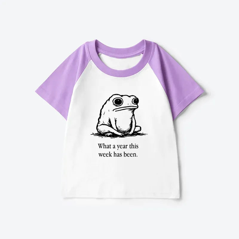 Japanese kids raglan t-shirt for daily wear