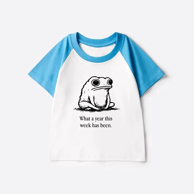 Japanese kids raglan t-shirt for daily wear