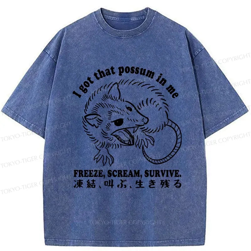 kyoto lion japanese streetwear tee gift idea