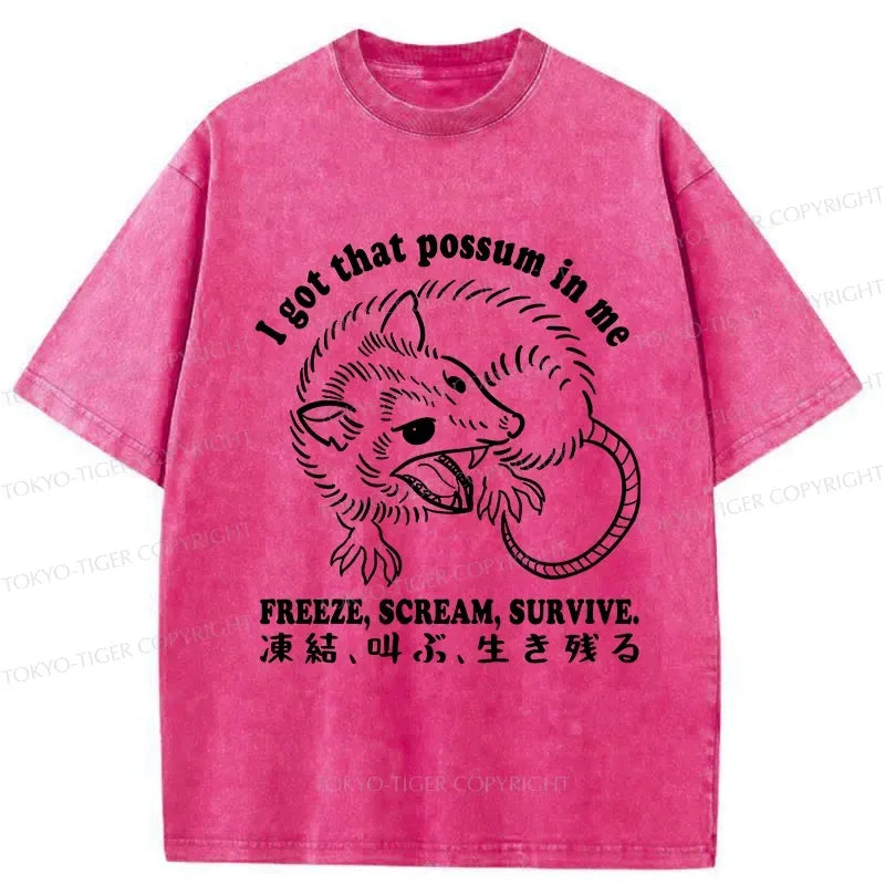 kyoto lion japanese streetwear tee gift idea