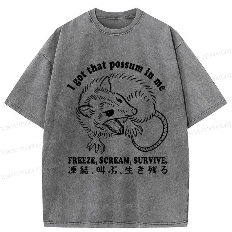 kyoto lion japanese streetwear tee gift idea