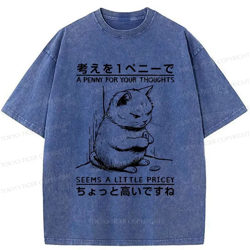 Kyoto-Lion Japanese Washed T-Shirt