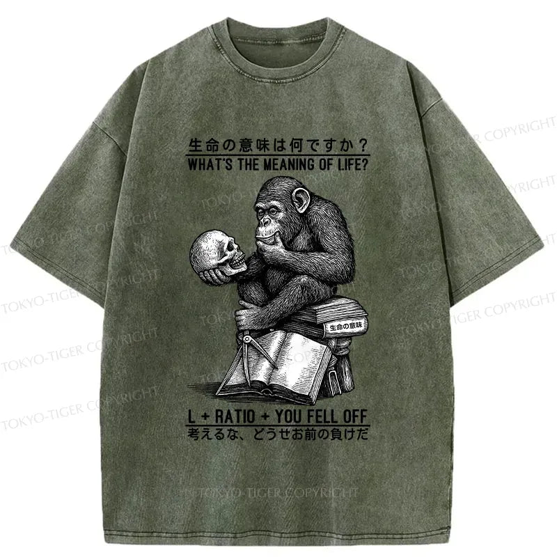 Kyoto-Lion What's The Meaning Of Life? Washed T-Shirt