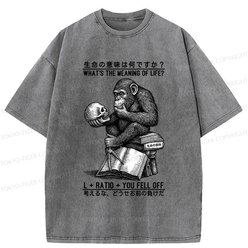 Kyoto-Lion What's The Meaning Of Life? Washed T-Shirt