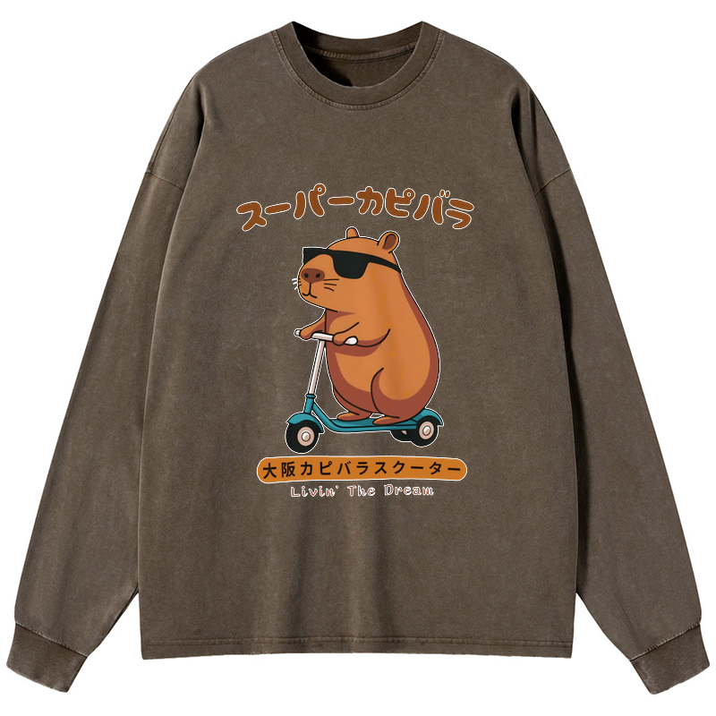 Washed Capybara Long Sleeve T-Shirt