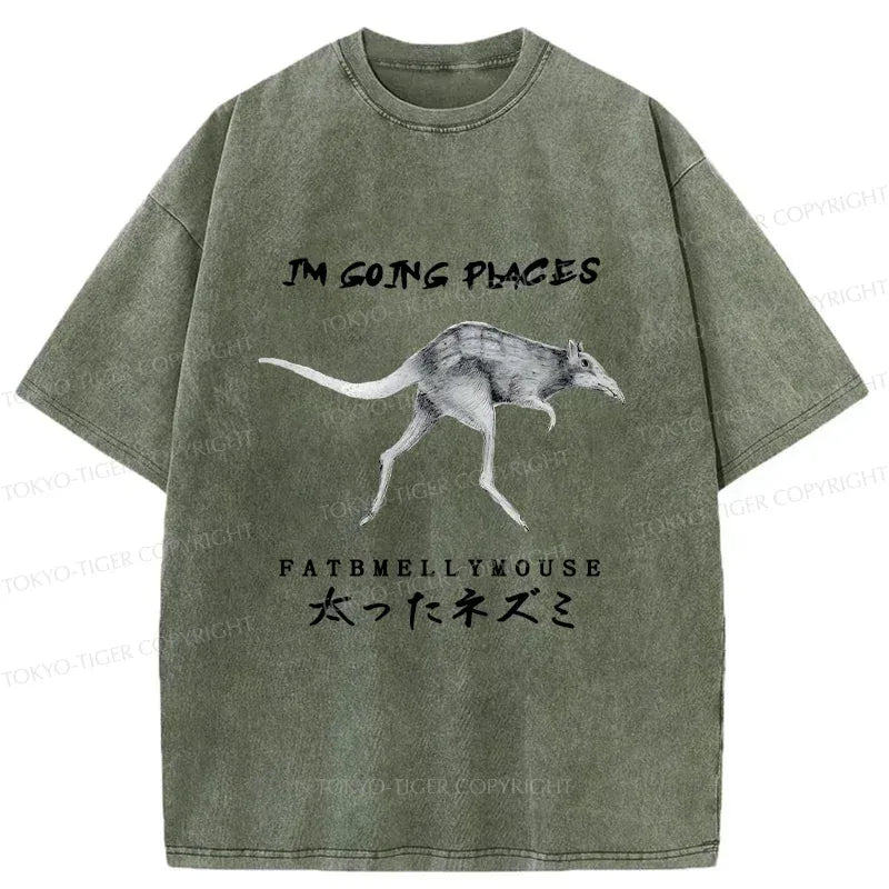 Kyoto-Lion Long-Legged Mouse Washed T-Shirt