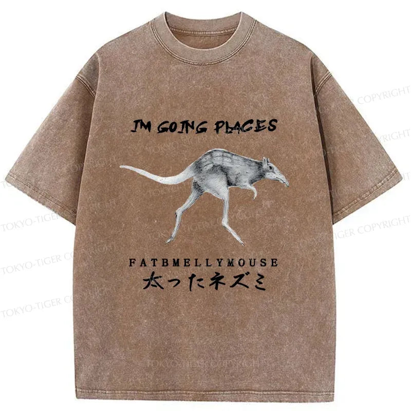Kyoto-Lion Long-Legged Mouse Washed T-Shirt