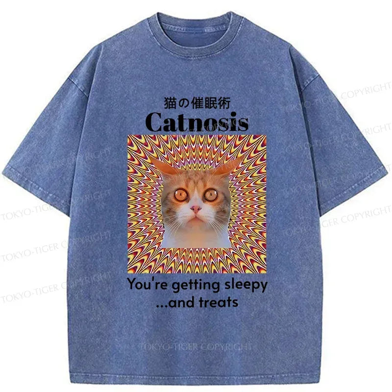 Kyoto Lion Washed T-Shirt with Free Shipping