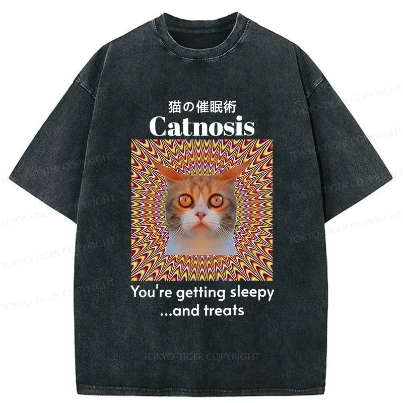 Kyoto Lion Washed T-Shirt with Free Shipping