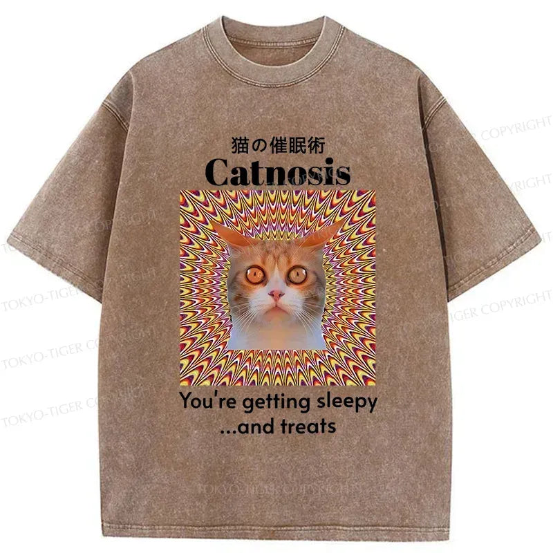 Kyoto Lion Washed T-Shirt with Free Shipping