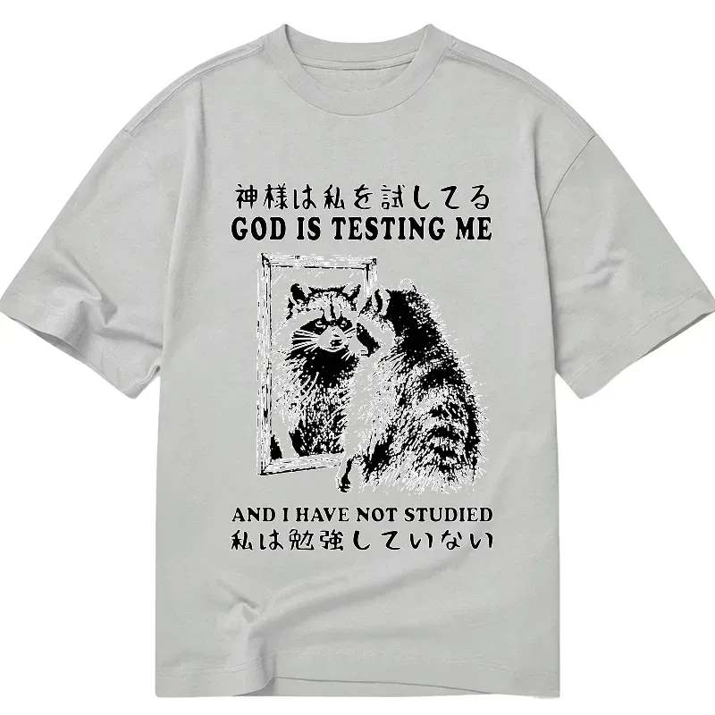 Kyoto-Lion Raccoon Not Studied Classic T-Shirt