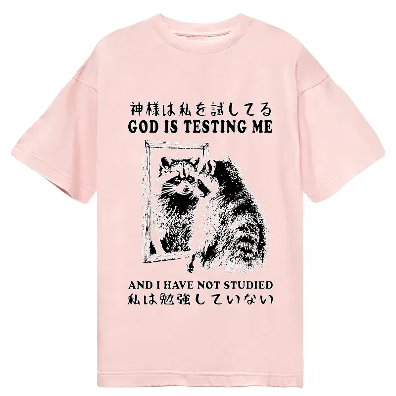 Kyoto Lion raccoon classic tee free shipping