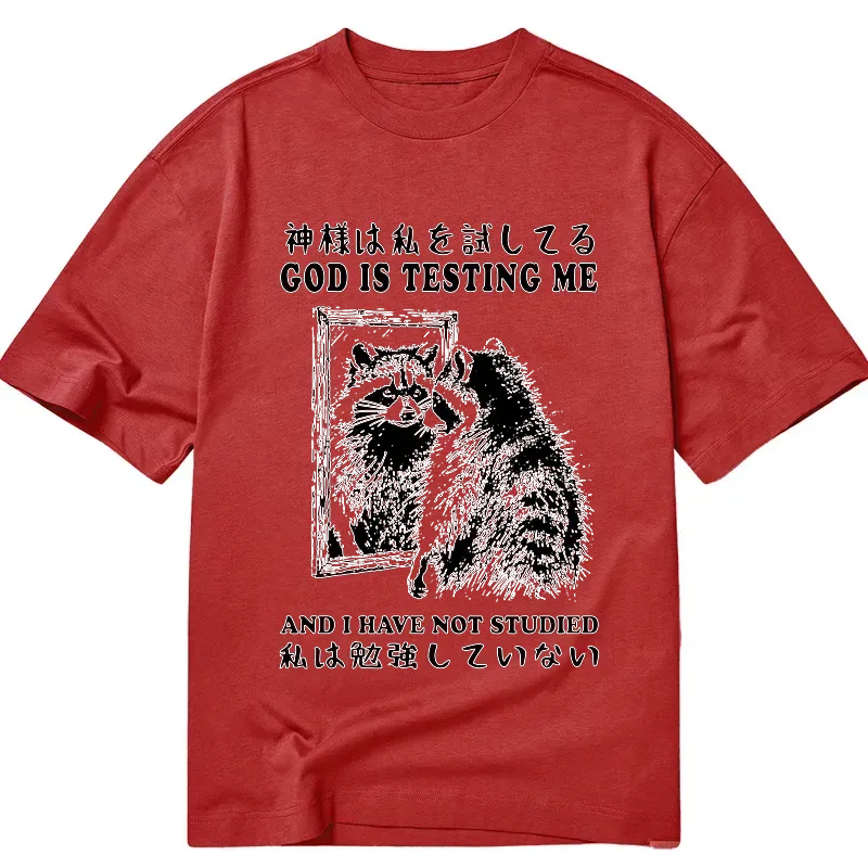 Kyoto-Lion Raccoon Not Studied Classic T-Shirt
