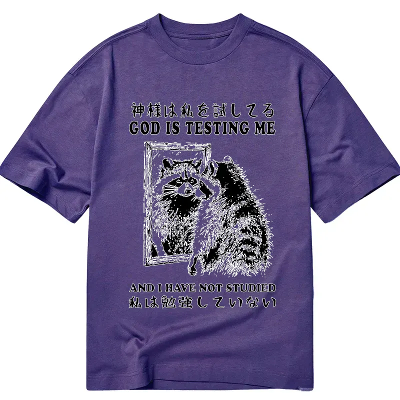 Kyoto Lion raccoon classic tee free shipping