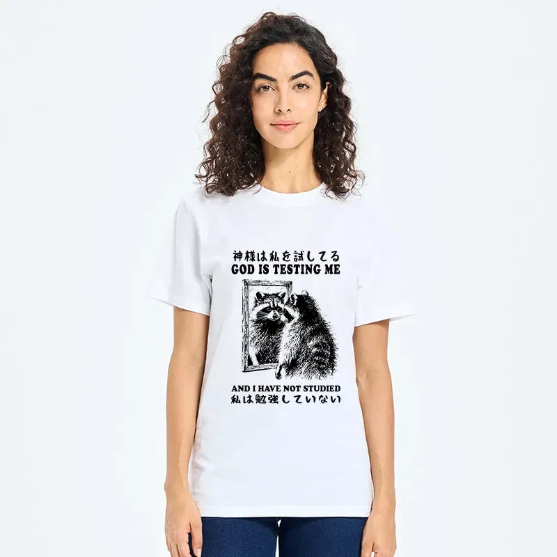 Kyoto-Lion Raccoon Not Studied Classic T-Shirt