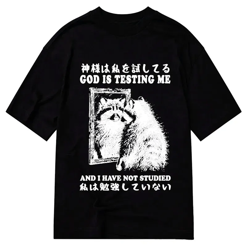 Kyoto-Lion Raccoon Not Studied Classic T-Shirt