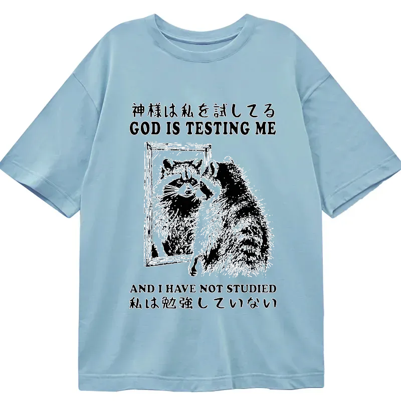 Kyoto-Lion Raccoon Not Studied Classic T-Shirt