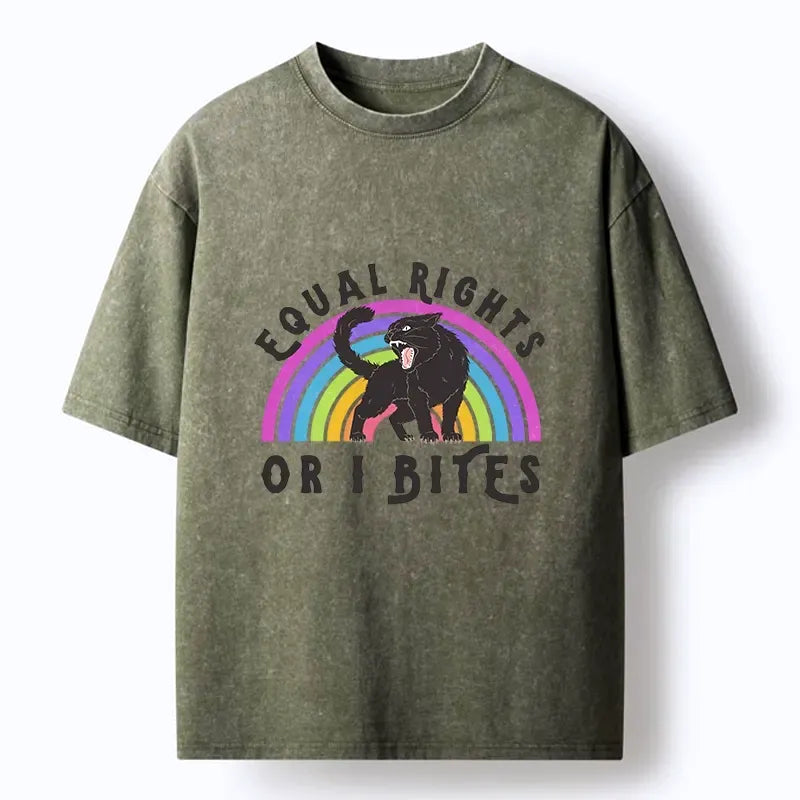 Vintage Rainbow Equal Rights Tee Gift for Her
