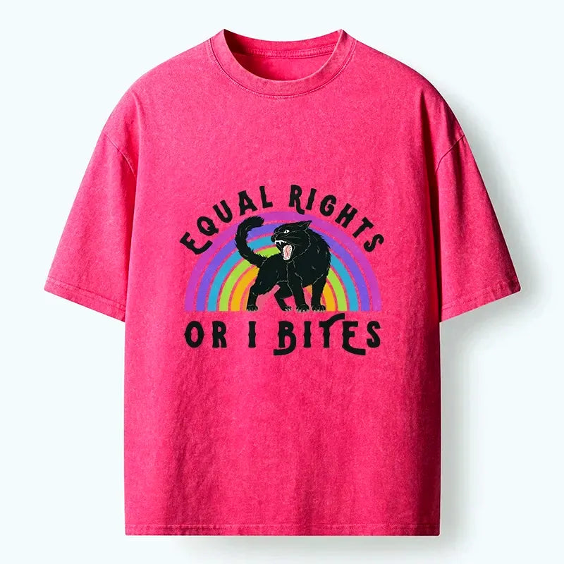 Vintage Rainbow Equal Rights Tee Gift for Her