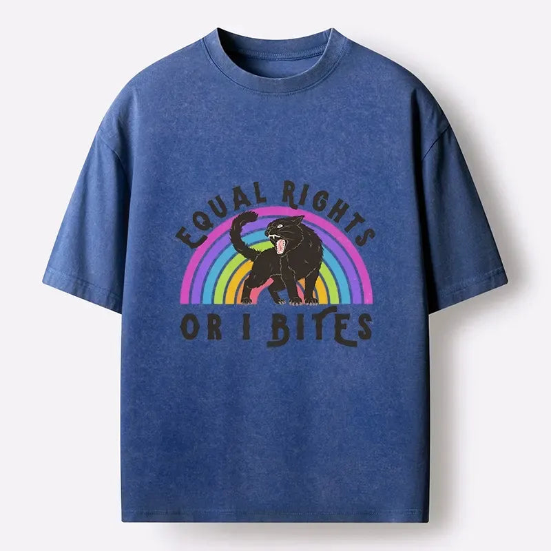 Vintage Rainbow Equal Rights Tee Gift for Her