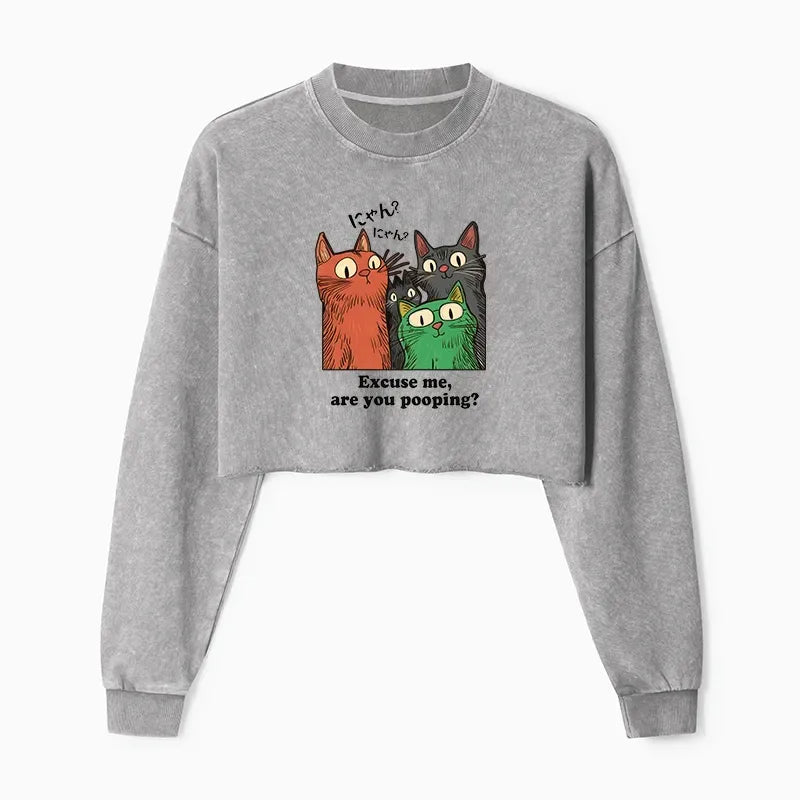 funny cat watching poop sweatshirt