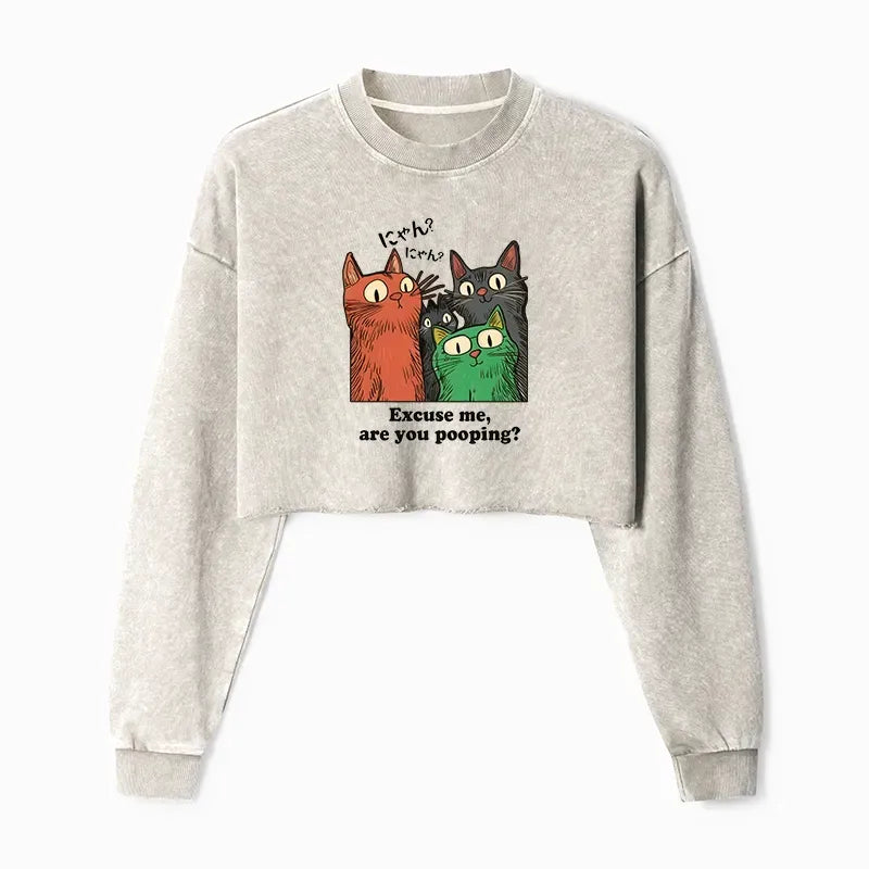 Japanese vintage washed crop sweatshirt