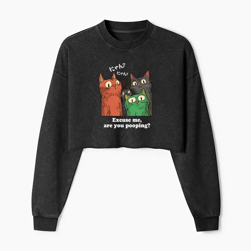 trendy Japanese cat sweatshirt for women