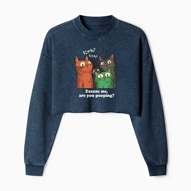 trendy Japanese cat sweatshirt for women