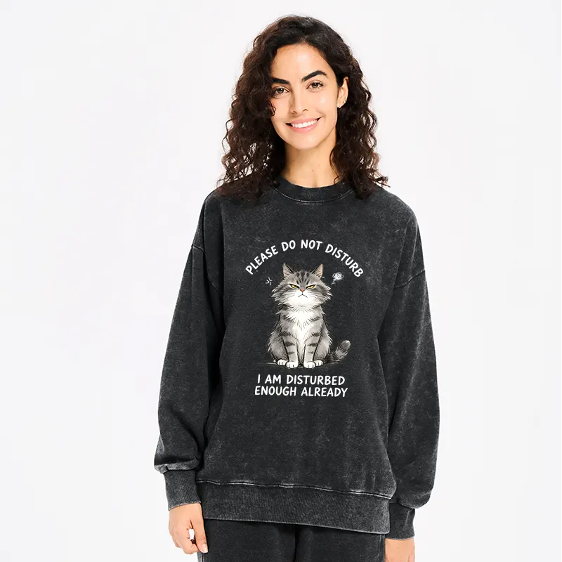Kyoto-Lion Funny Cute Little Cat Meme Washed Sweatshirt