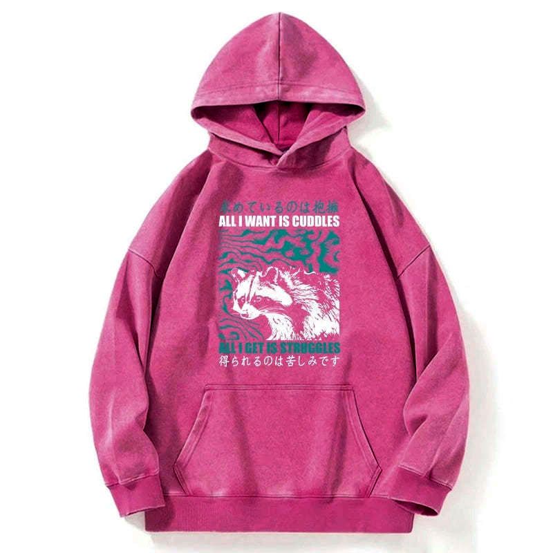 Kyoto-Lion All I Get Is Struggles Washed Hoodie