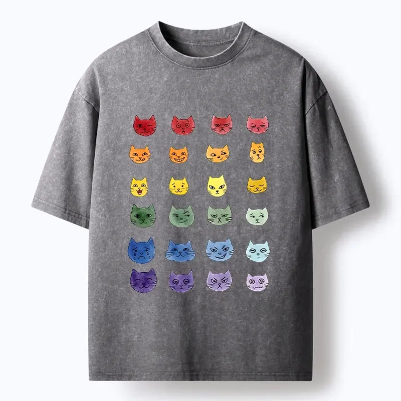 Kyoto-Lion Watercolor Rainbow Cat Washed T-Shirt