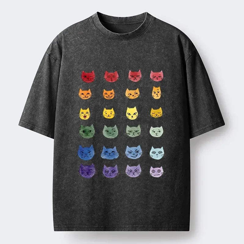 Rainbow Cat Washed Tee for Summer