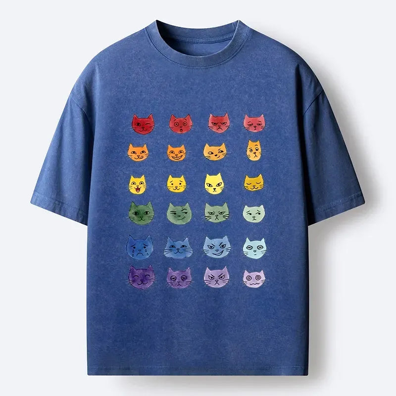 Rainbow Cat Washed Tee for Summer