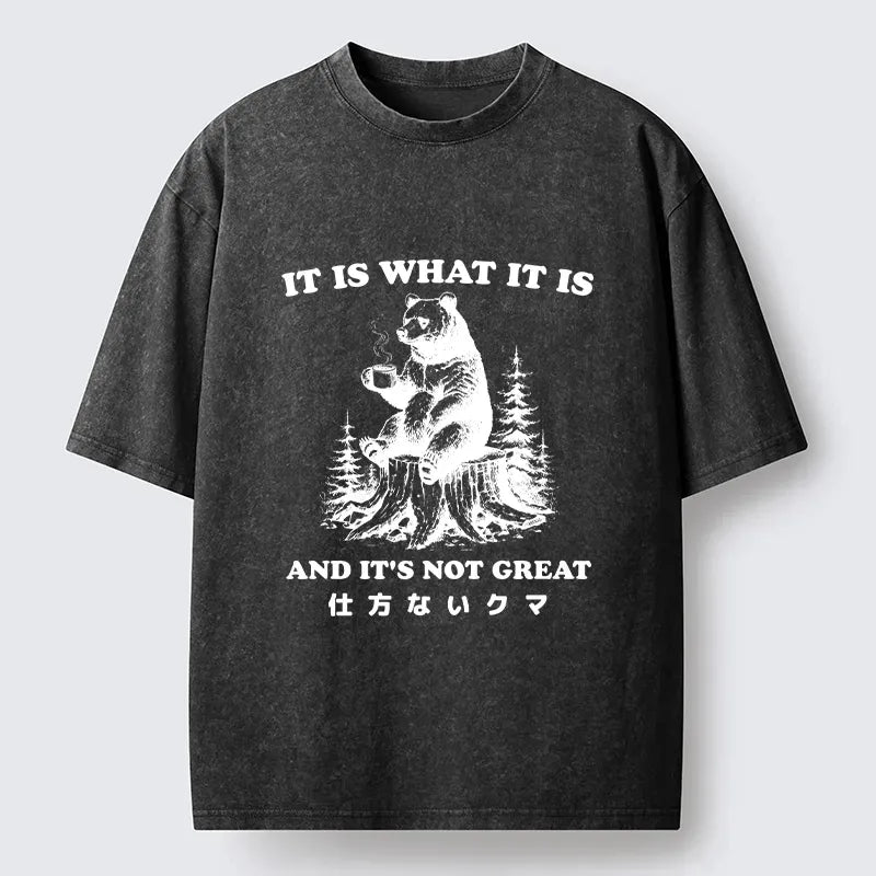 Washed Japanese Bear T-Shirt for Daily Wear