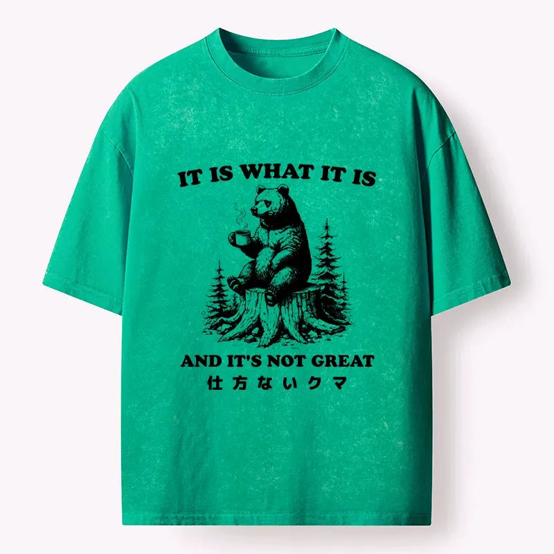 Kyoto-Lion Melancholy Bear Washed T-Shirt