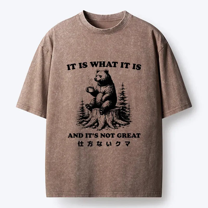 Kyoto-Lion Melancholy Bear Washed T-Shirt