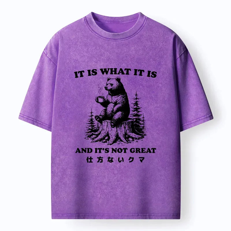 Kyoto-Lion Melancholy Bear Washed T-Shirt